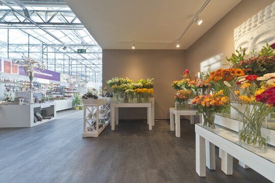 Lichtinszenierung einer Schnittblumenzone