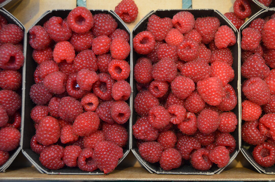 Himebeeren in Schlchen