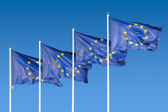 Die Flagge der Europischen Union