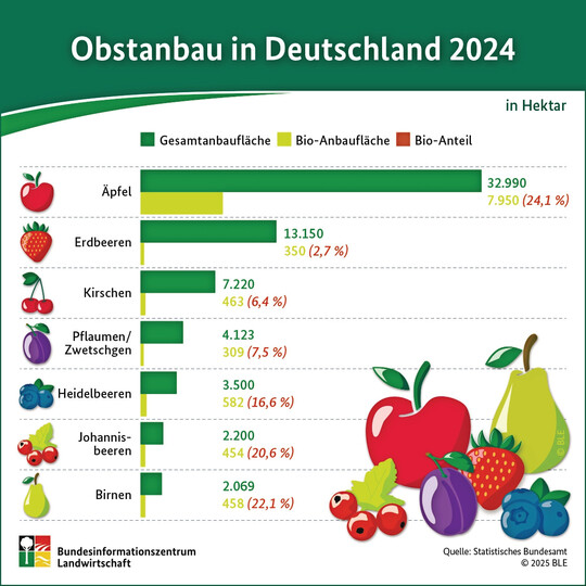 Infografik zum Obstanbau in Deutschland