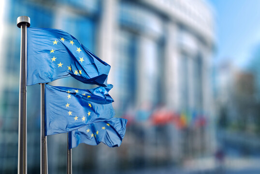 Flaggen der Europischen Union