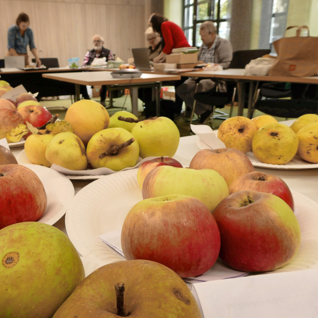 Die Experten bei der Bestimmungsarbeit.