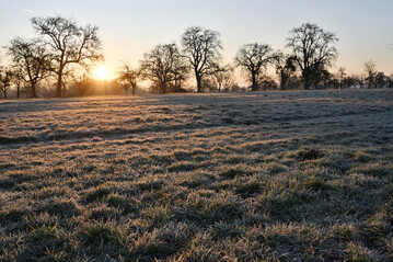 Als Abfindungsbrenner muss man gegen�ber dem Zoll landwirtschaftliche Fl�chen nachweisen.