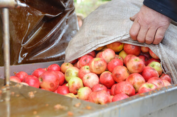 �pfel werden in einer mobilen Mosterei versaftet