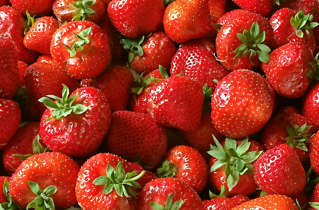 Frische Erdbeeren: Neben dem Aroma ist nicht zuletzt die rote Farbe der reifen Früchte verlockend.