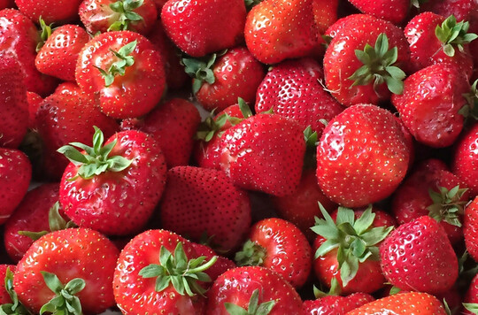 Erdbeeren.