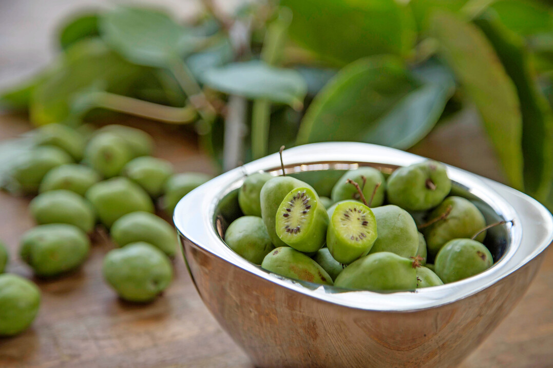 Minikiwis oder Kiwibeeren: Schon als Rohfrucht sind sie �attraktiv. Sie k�nnen mit der Schale gegessen werden.