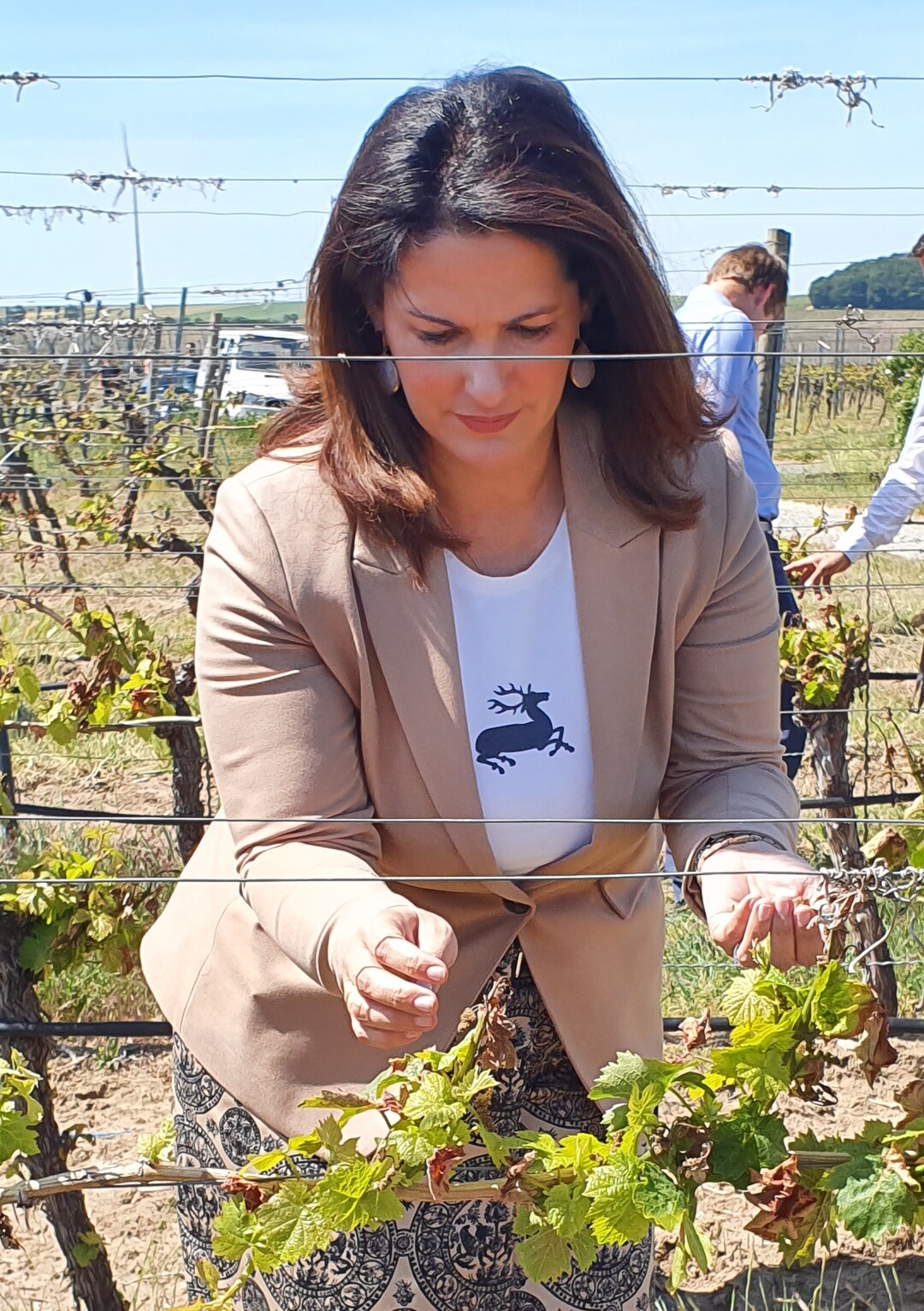 Die bayerische Landwirtschaftsministerin Michaela Kaniber bei der Begutachtung von Frostschden in den Weinbergen bei Kitzingen.