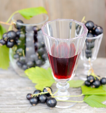 Schwarze Johannisbeere (Ribes nigrum)