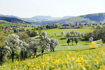 Impression von der sterreichischen Moststrae