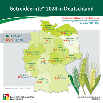 Infografik der BLE zur Getreideernte 2024 in Deutschland
