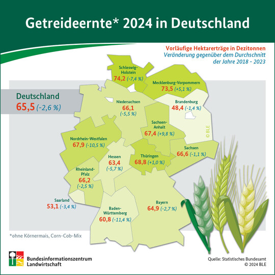 Infografik der BLE zur  Getreideernte 2024 in Deutschland