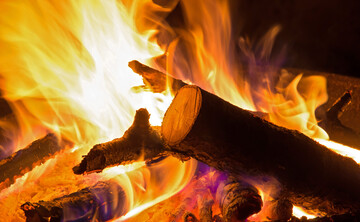 Viele Brenner heizen ihre Brennanlage mit Holz.