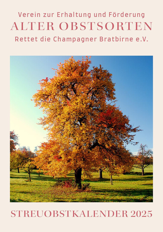 Das Titelblatt des Streuobstkalenders 2025 zeigt eine Metzer Bratbirne.