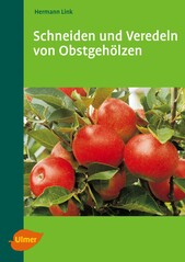 Schneiden und Veredeln von Obstgeh�lzen