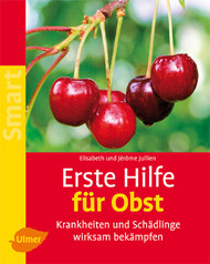 Erste Hilfe für Obst