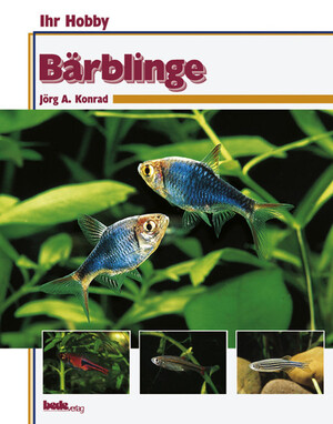 Brblinge