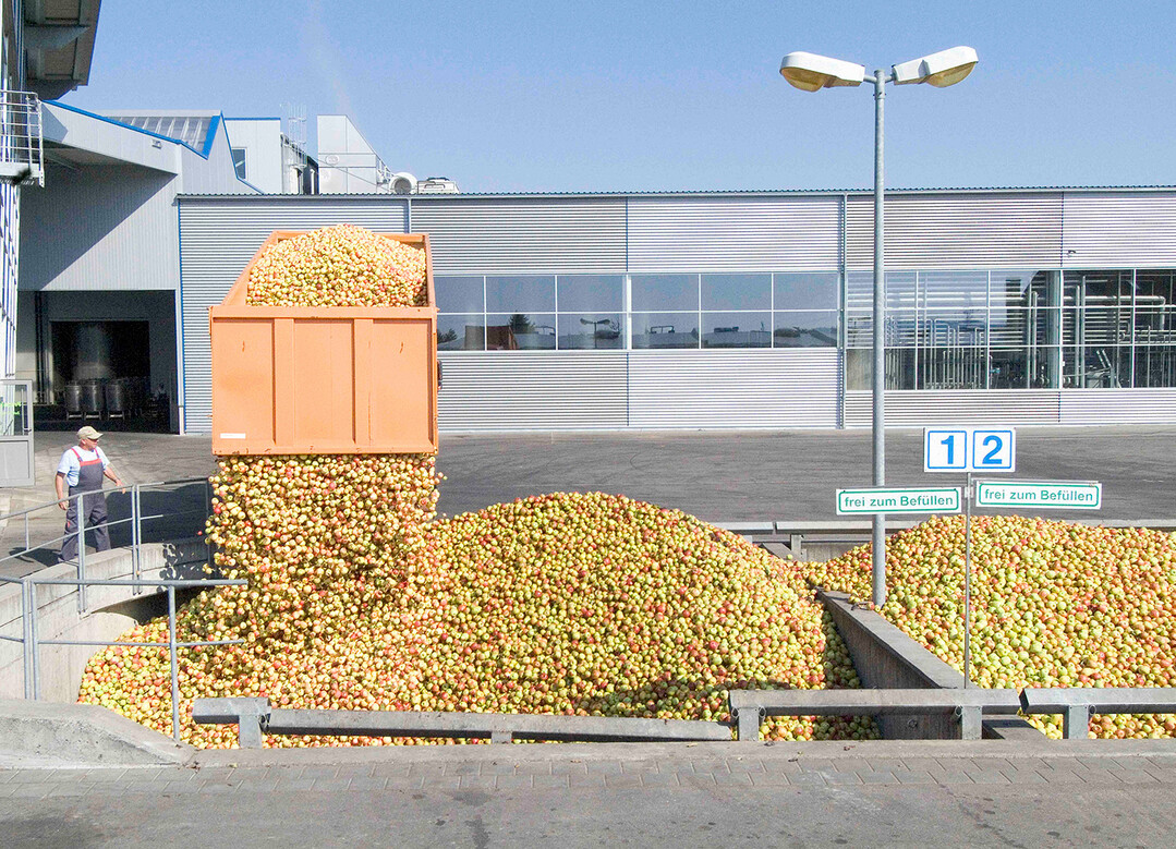 Keltereien produzieren Apfelsaft auf Hochtouren