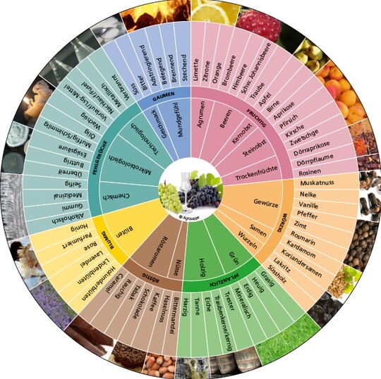 Das Aromarad fr Grappa und Marc besteht aus drei konzentrischen Kreisen. Nach auen hin wird die aromatische Beschreibung immer zielgenauer. Auen sind dann 68 Attribute aufgefhrt, seien es erwnschte Aromen oder Fehltne.