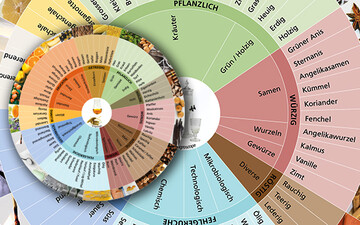 Die Aromarder von Agroscope erleichtern und sytematisieren die Beschreibung der Aromen von Destillaten.