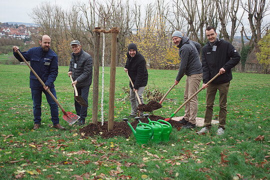 Pflanzaktion zum Hohenheimer Rieslingapfel: v.l. Jochen Berger (Streuobstfachstelle Stadt Stuttgart), Rudolf Brenkel (Ehrenvorsitzender OGV Altbach), Dr. Helmut Dalitz (wiss. Leiter der Hohenheimer Grten), Dr. Robert Gliniars (Kustos der Hohenheimer Grten), Lucas Pacholet (Hobby-Pomologe)