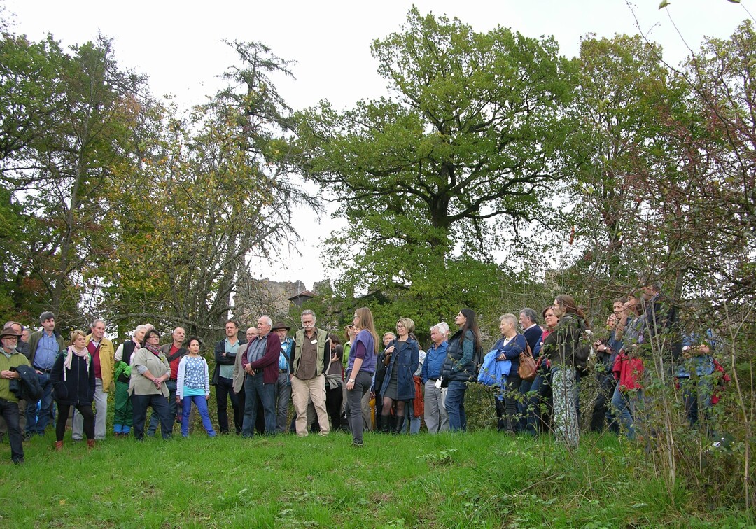 Die Teilnehmer im Wildobstareal des Streuobstmodellprojektes Emmendingen-Hochburg