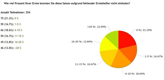 Laut der Umfrageergebnisse konnten 79 Prozent der Betriebe einen Teil ihrer Ernte wegen Personalmangel nicht einholen. 13 Prozent geben an, dass sie mehr als 20 Prozent des Spargels bzw. der Beeren nicht ernten konnten.