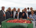 Eröffnung der Apfelsaison am Bodensee mit Staatsekretärin Sabine Kurtz