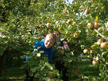 Spa rund um den Obstbaum