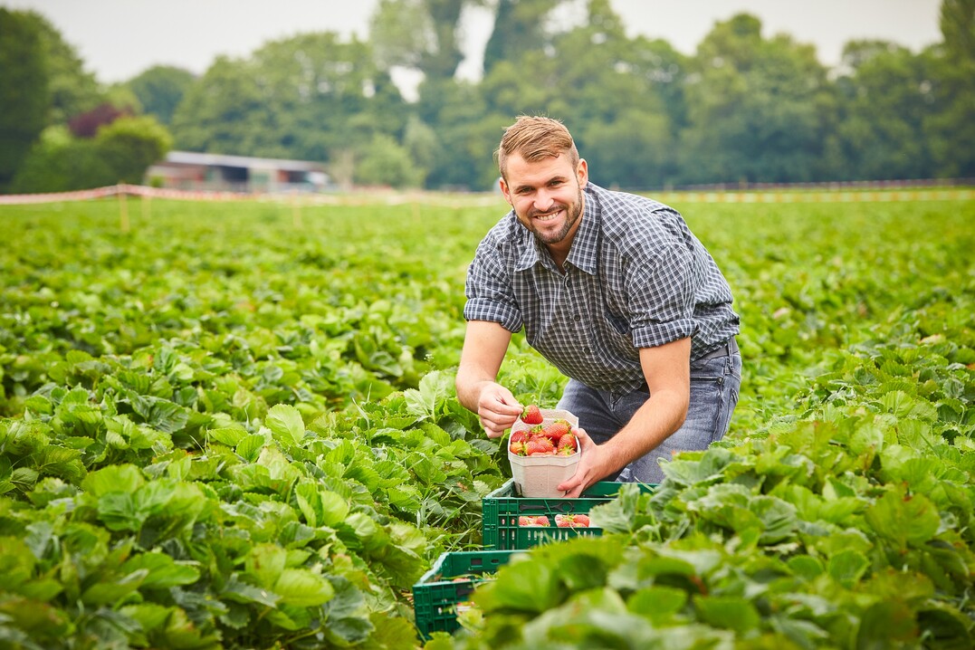 Über eine regionale Suche finden Landwirte und Helfer zusammen