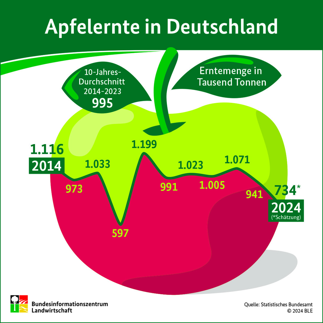 Infografik zur Apfelernte in Deutschland