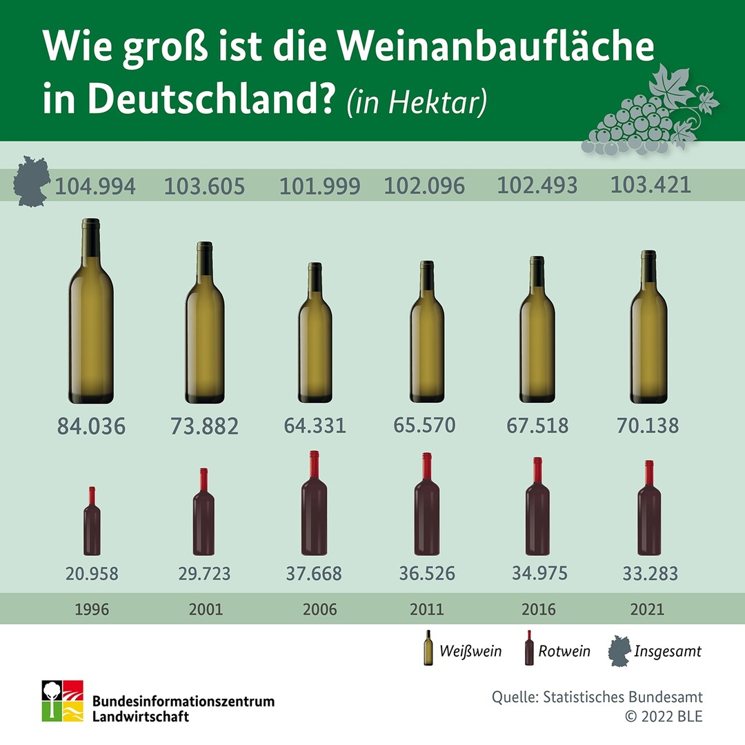 Entwicklung der Weinanbaufläche