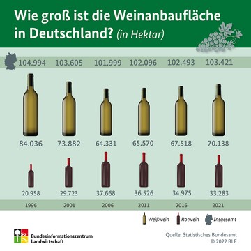 Entwicklung der Weinanbauflche