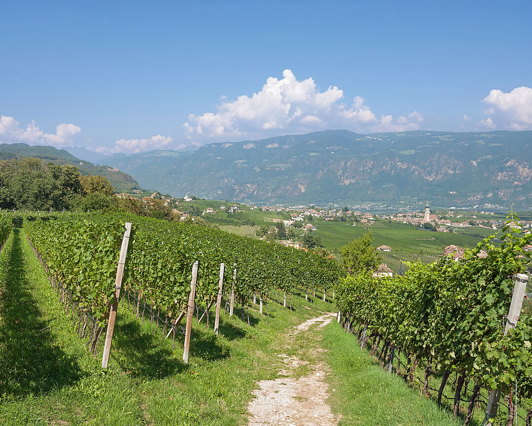 An der Sdtiroler Weinstrae liegt der bekannte Ort Eppan.