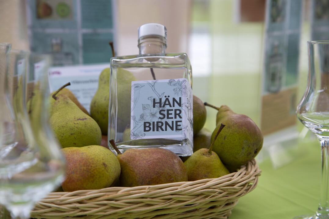 Eine Obstbrand aus der "Hänser Birne"