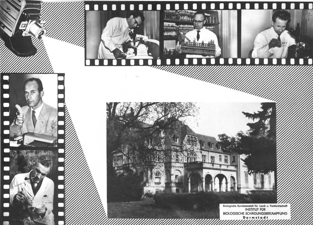 Postkarte mit Bild des 1. festen Standortes in der Oetinger-Villa in Darmstadt und den damals fünf Wissenschaftlern, Aufnahme Ende 1950er Jahre