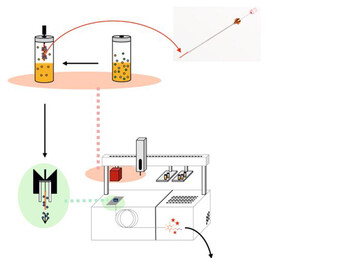  Schema der Analyse