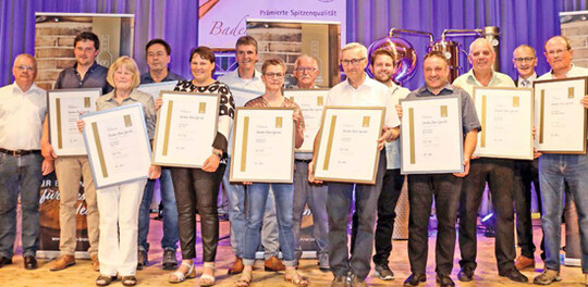 Hier die Vertreter der Top 
Ten Brnde.