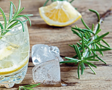 Gin ist ein absolutes Trendgetrnk.