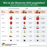 Wie ist die Obsternte 2020 ausgefallen?