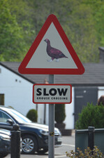 Famouse Grouse - das Markensymbol