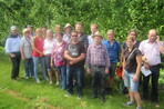 Die Arbeitskreisteilnehmer Steinobst vor der Zwetschenfruchtwand