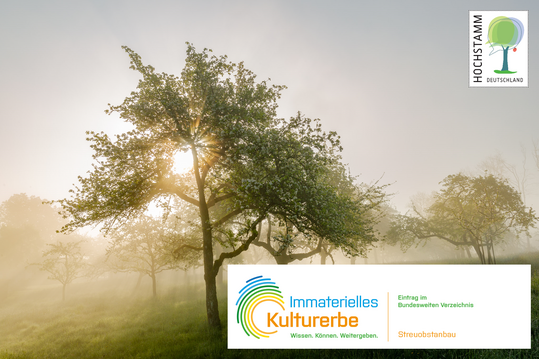 Die Kulturministerkonferenz besttigt Streuobstanbau als Immaterielles Kulturerbe.