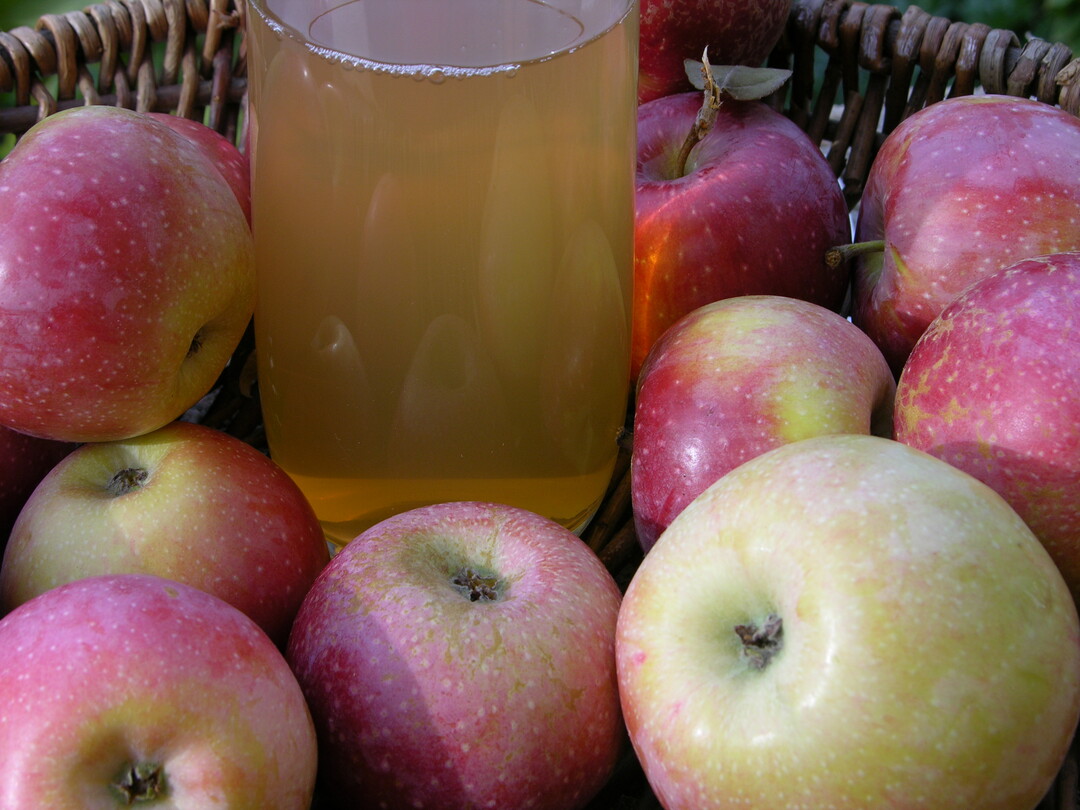 In der Trenddisziplin Cider gewann die Mosterei Bussinger aus Hüttwilen TG mit dem «Apple Dream Cider».