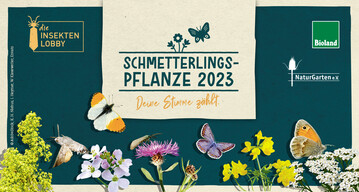Bioland und NaturGarten rufen zur Wahl der Schmetterlingspflanze des Jahres 2023 auf.